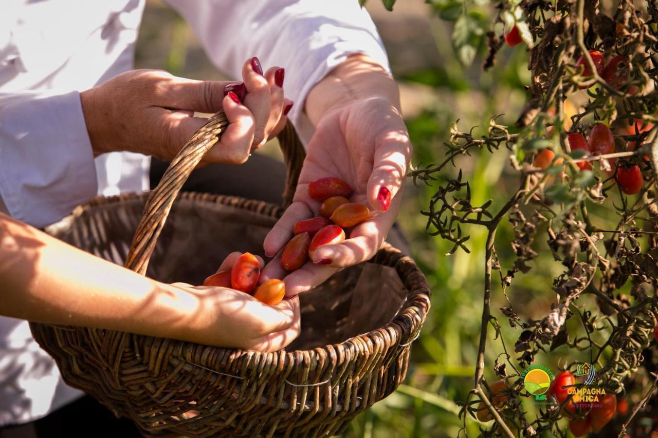 마르콘 Agriturismo Ai Carpini 빌라 외부 사진