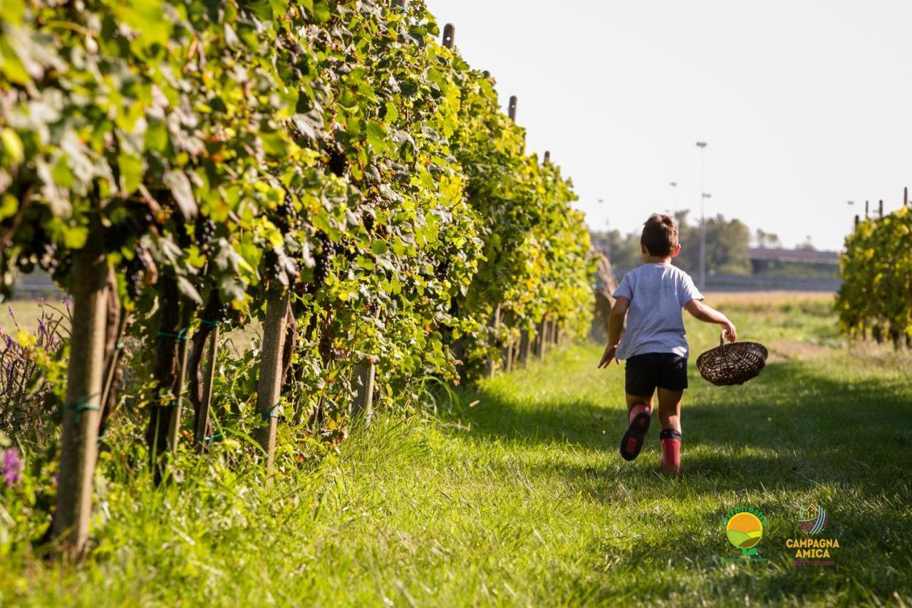 마르콘 Agriturismo Ai Carpini 빌라 외부 사진